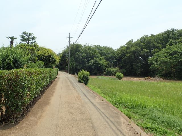 P6090033