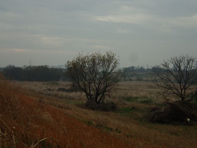PC180009
