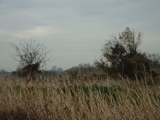 PC180014