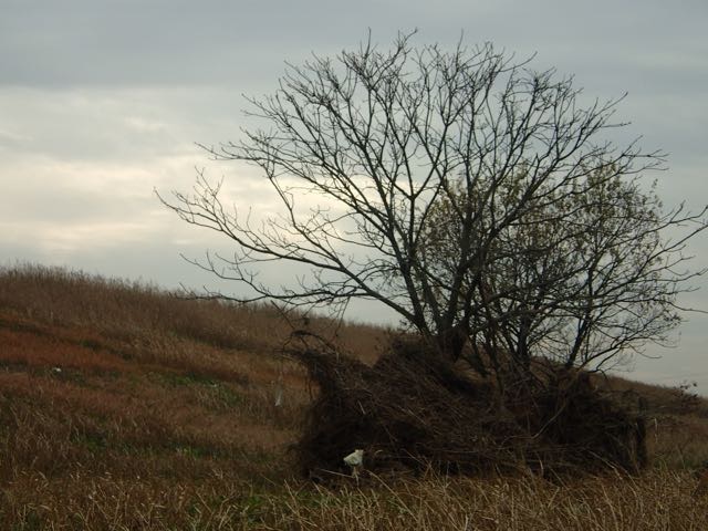 PC180016