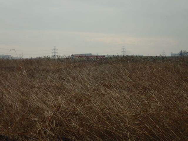 PC180035