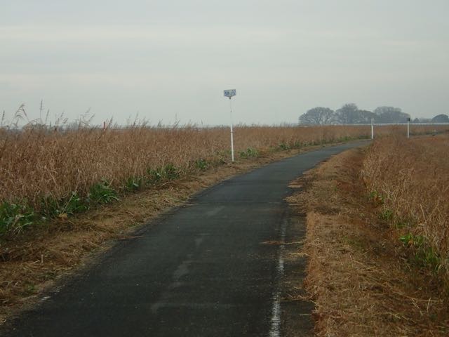 PC180052