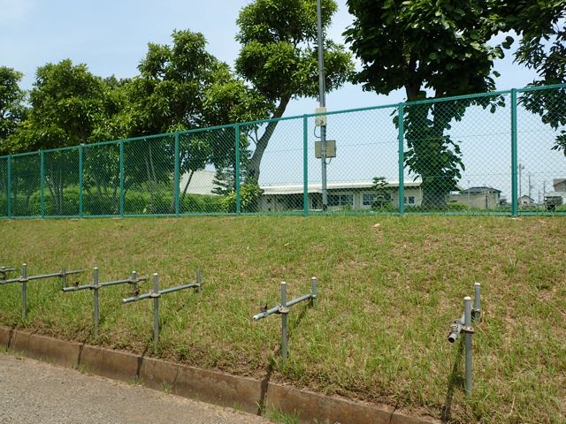 P6090048
