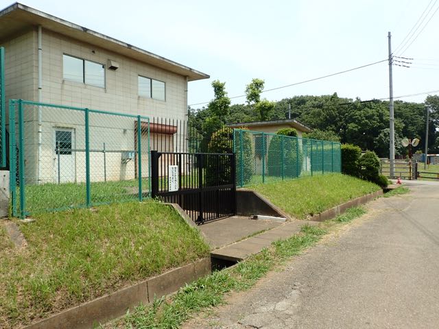 P6090050