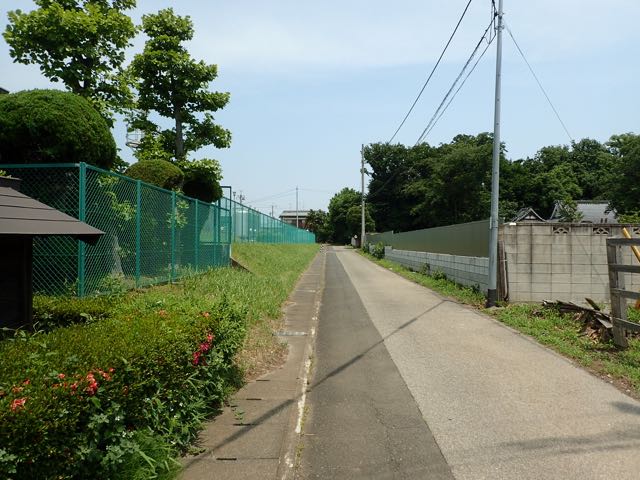 P6090055