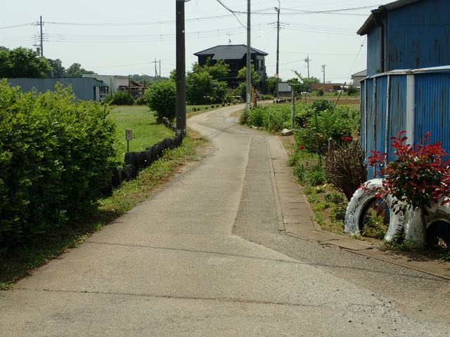 P6090058