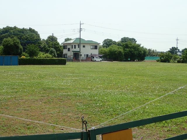 P6090060