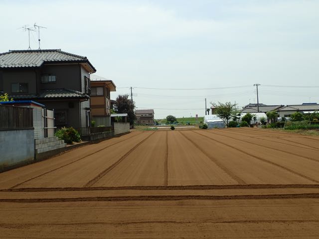 P6090067