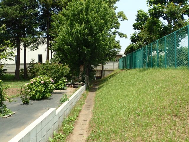 P6090068