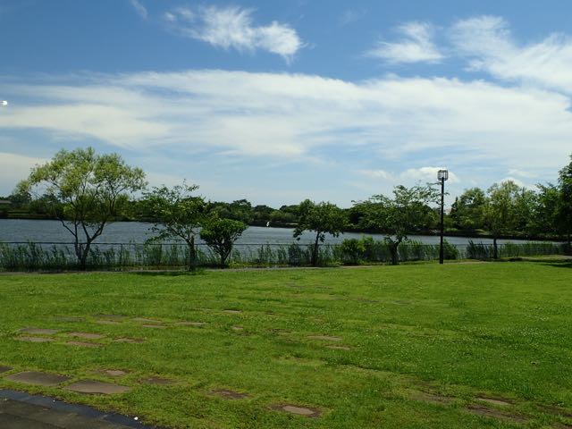 P7020005