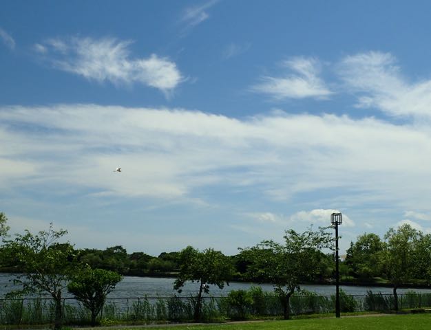 P7020006 - バージョン 2