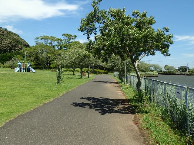 P7020010