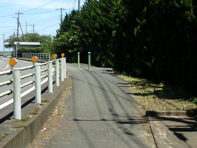 P7020019