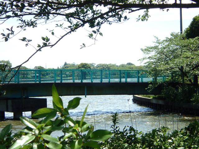 P7020020