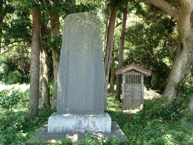 P7020027