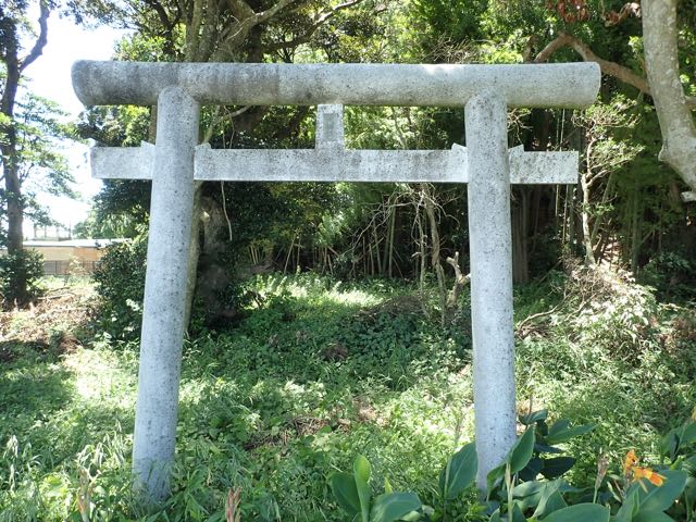 P7020030
