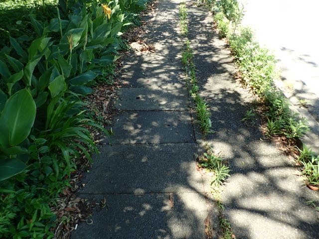 P7020031