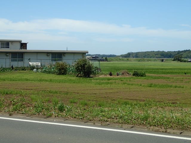 P7020035