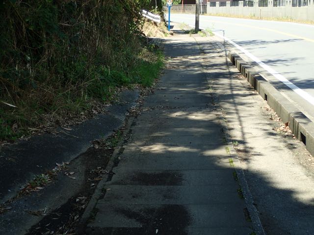 P7020037