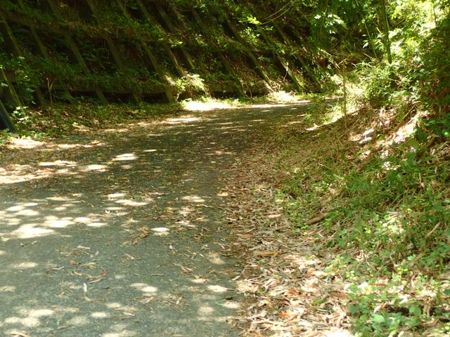 P7020044