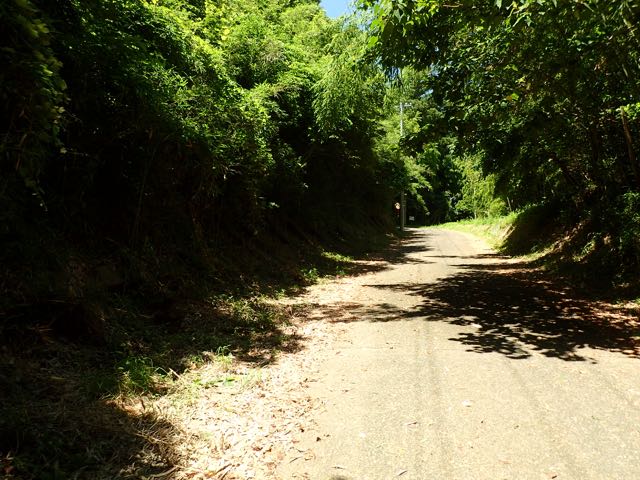 P7020047