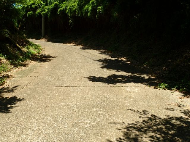 P7020052