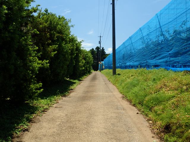 P7020054