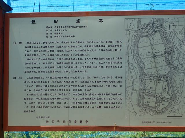 P7020056