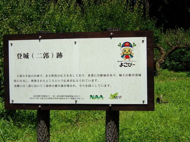 P7020069
