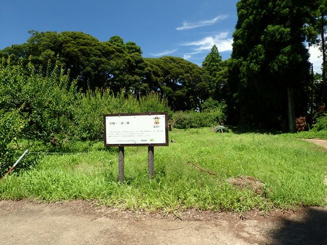P7020070