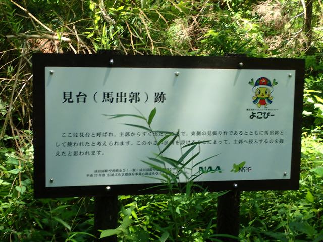 P7020078