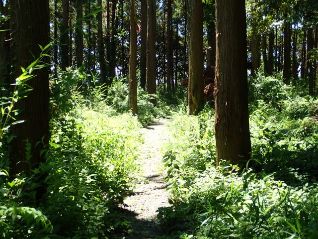 P7020085
