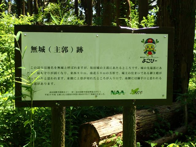 P7020087