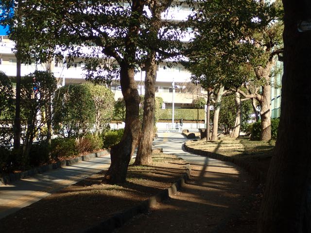 P1140007