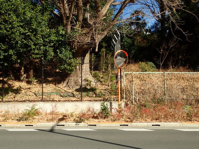 P2030113