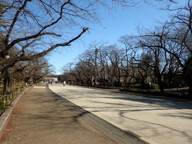 P2030145