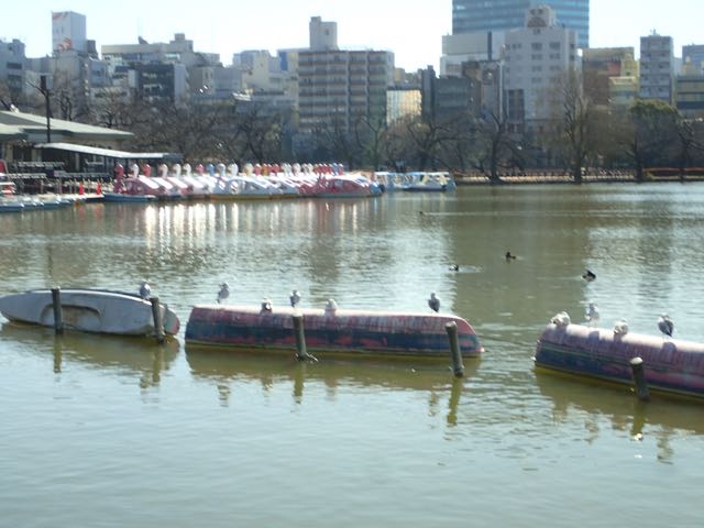 P2030198