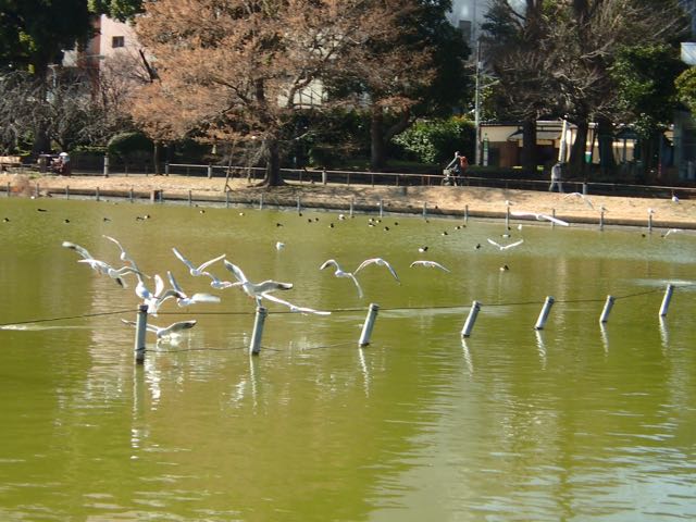 P2030201
