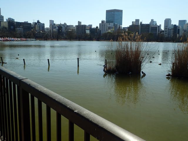 P2030208