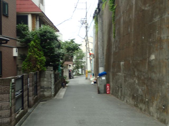 P5110002