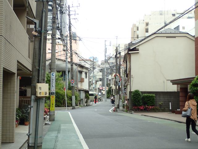 P5110053