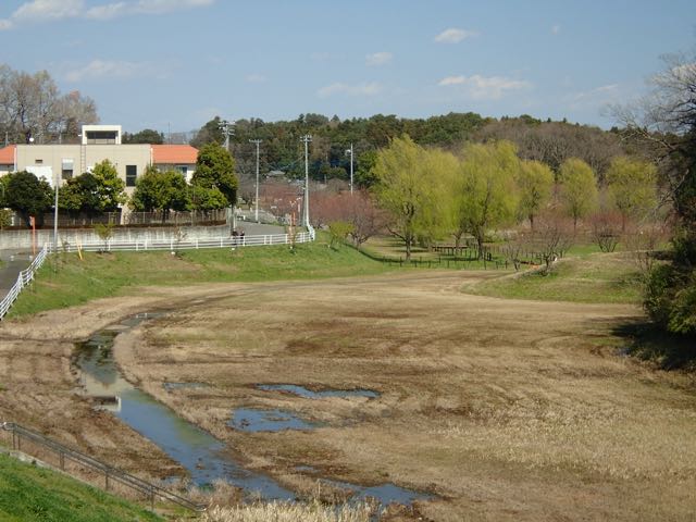 P3180049