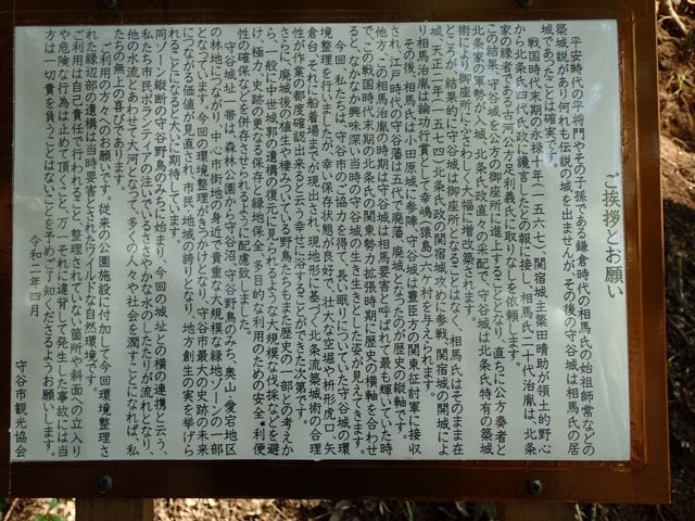 P3180063
