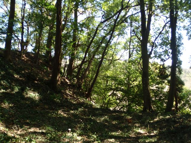 P3180066