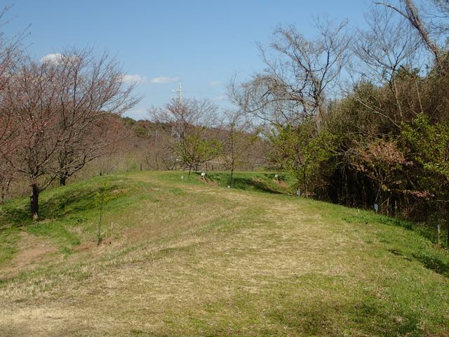 P3180125