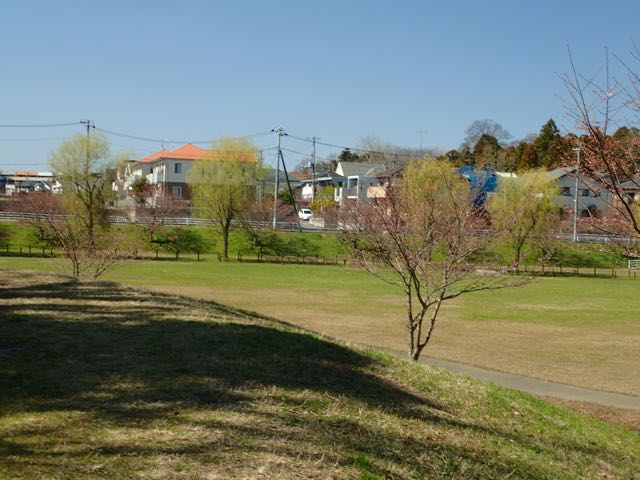 P3180128