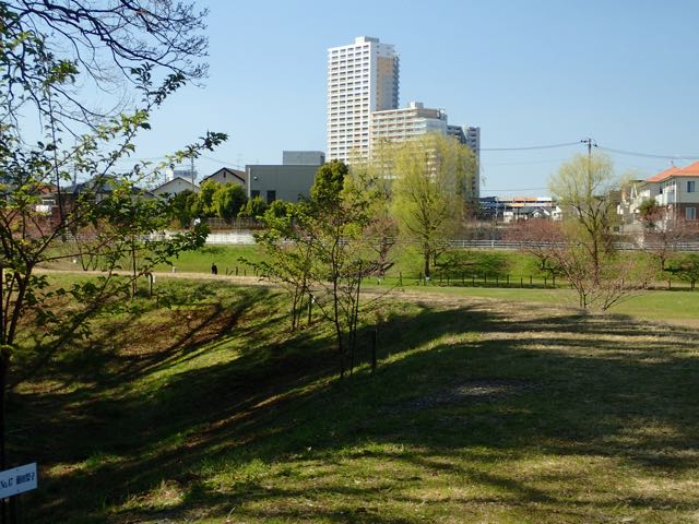 P3180129
