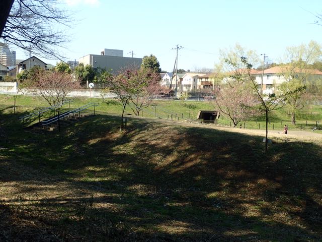 P3180138