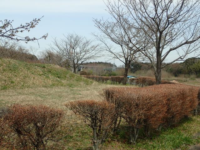 P3210058
