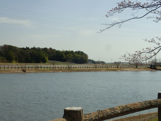 P3210065